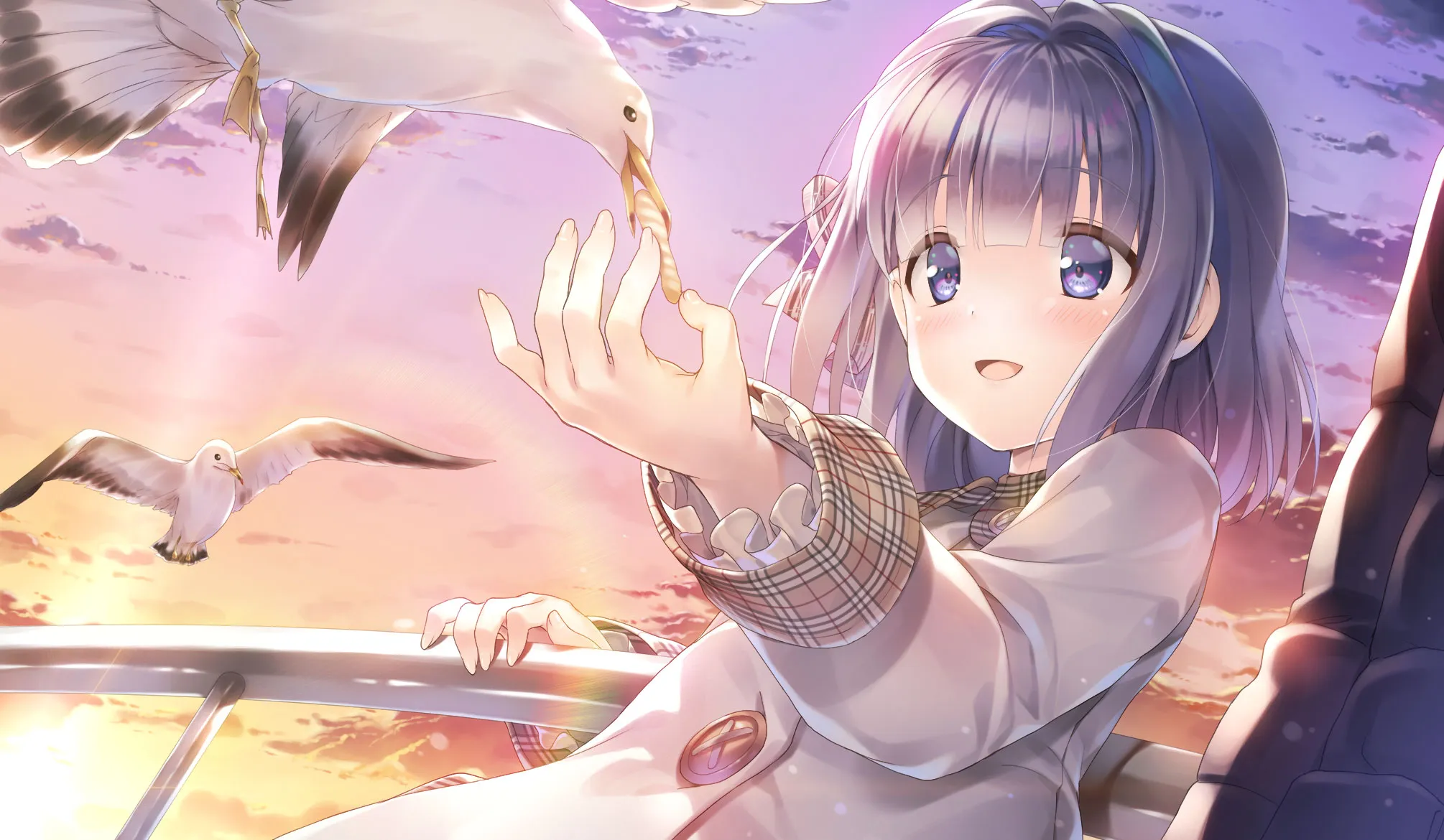 由Marmalade製作的《Study § Steady》繁體中文版Steam商店頁面現已開放！