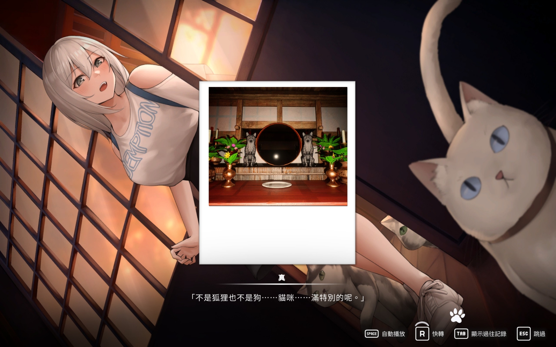 化身為貓！《貓島雨香》5/15 上市　免費 DLC 解鎖色色視角　