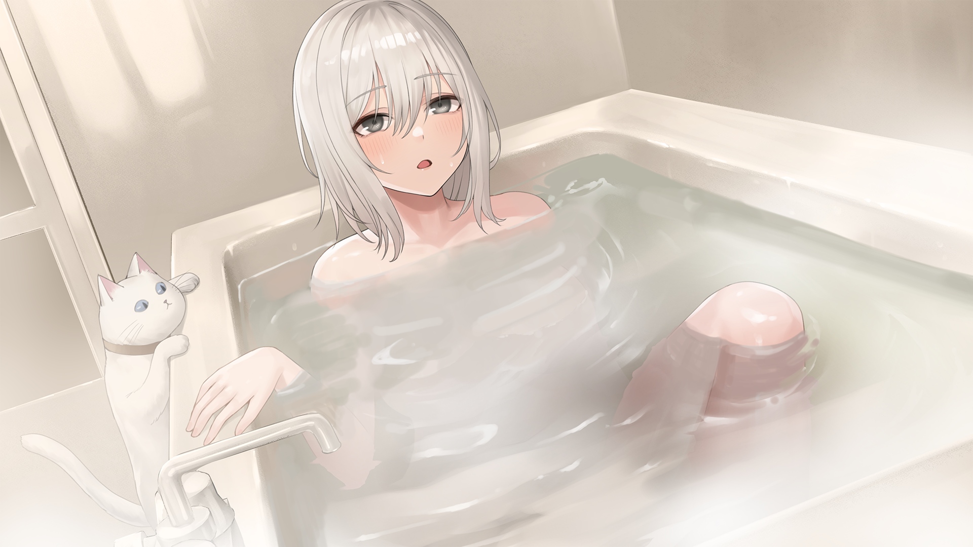 化身為貓！《貓島雨香》5/15 上市　免費 DLC 解鎖色色視角　